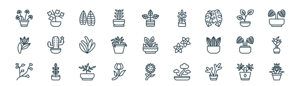 modern linear house plant icon set. vector thin line outline symbols for ui/ux app and web interfaces. minimal stroke collection including yucca, english ivy, fittonia, plant, spider plant,