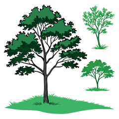 Trees-and-plants-top-view--icon-set-of-colored-tree