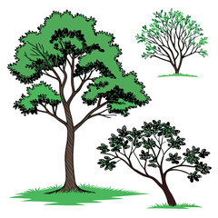 Trees-and-plants-top-view--icon-set-of-colored-tree