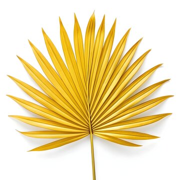 Latania Vershaffeltii Yellow Latan Palm Leaf Radiant Tropical Beauty on Clean White Background Celebrating Warm Golden Tones, Fresh Exotic Texture, and the Grace of Island Nature