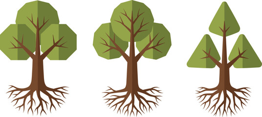 A beautiful vector collection of colorful autumn leaves, including maple and oak foliage in warm orange and yellow tones, perfect for fall season decoration, greeting cards, and Thanksgiving designs © Aminul