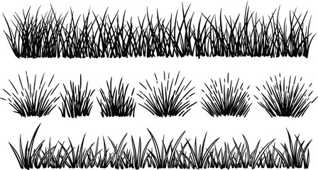 Grass silhouette set on a white background