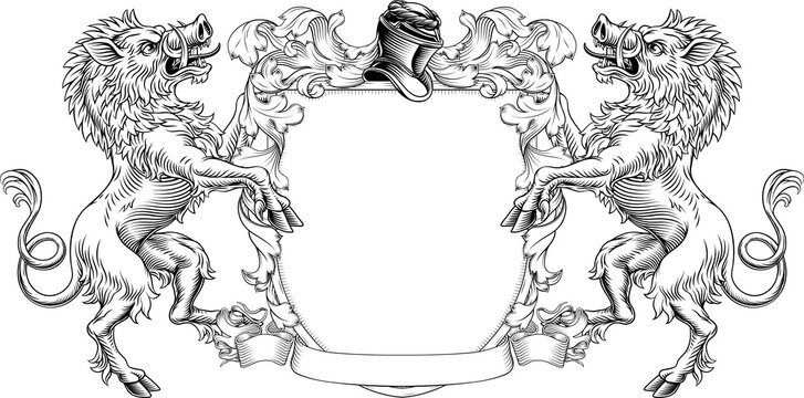 Boars coat of arms or crest family heraldry medieval heraldic knight shield with helmet and acanthus filigree scroll ornament in a vintage woodcut style.