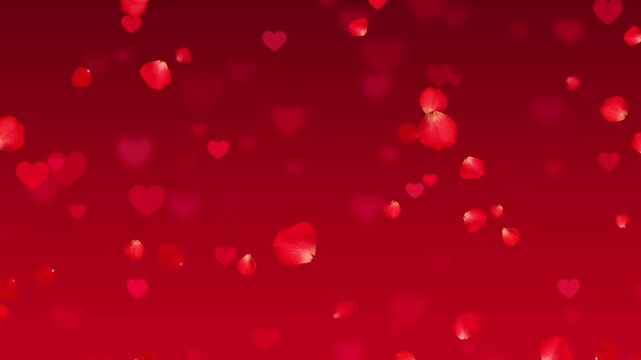realistic red rose flower petals and hearts falling animation, valentines day romantic love and marriage social media motion background