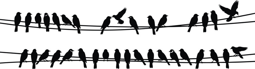 Silhouette vector of birds sitting on wires with perched and flying bird shapes, perfect for nature, wildlife, and design projects
