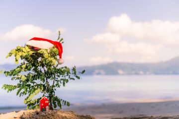 Christmas toys on the beach of tropical resort on the beach. Concept could be used for New Year and Christmas Cards at Phuket Thailand