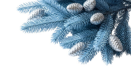 Blue frosted pine tree branch with pinecones isolated on transparent background for holiday decoration