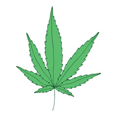 Hand drawn cannabis leaf Medicine marijuana Hemp leaves clipart in doodle style Single element for print, web, design, decor