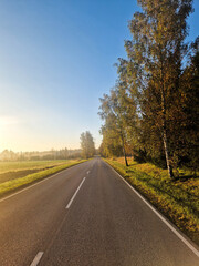 Fototapeta premium Amazing autumn views with yellow trees and wet roads, and green fields