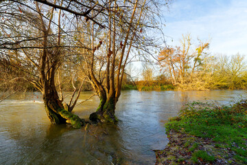 Obraz premium Loing river in the plain of Sorques. French Gatinais Regional Nature Park