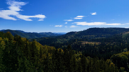 Aerial view of lush green forest with mountains creating a serene nature setting, Sitka, Alaska, USA.
