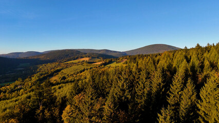 Aerial view of yellow aspen and green pine forests in early autumn in Colorado, USA. A picturesque autumn mountain landscape.