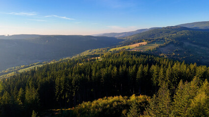 Aerial view of yellow aspen and green pine forests in early autumn in Colorado, USA. A picturesque autumn mountain landscape.