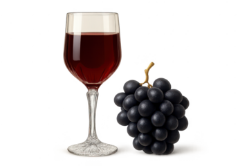 Red wine and black grapes still life on transparent background image.