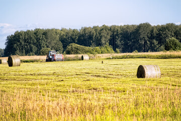 The tractor-mounted bale baler collects hay and forms tight round bales, which are then tied with twine, making storage and transportation easier.
