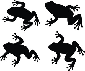 Obraz premium Silhouettes of frogs in different poses, amphibian animal illustration set, wildlife design concept, nature biology, reptile art collection