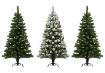 three photorealistic christmas fir trees (one flocked, lit with warm leds and pine cones; two dark green, undecorated) on a transparent background. minimalist holiday product concept