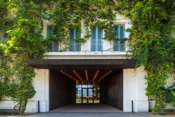 Green facade with climbing plants on modern building, eco architecture concept, vertical greenery.