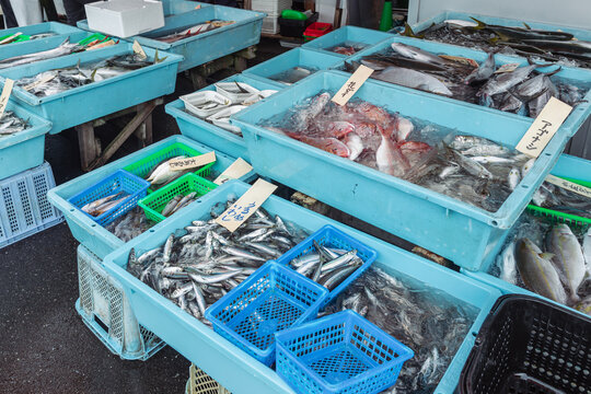 魚市場に並ぶ鮮魚と水揚げされた魚介類