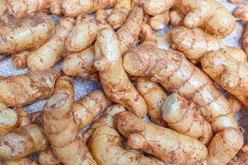 Wild turmeic (Curcuma Aromatica) or Mango ginger (Curcuma Amada). Ayurveda herbal medicine- wild turmeric roots.