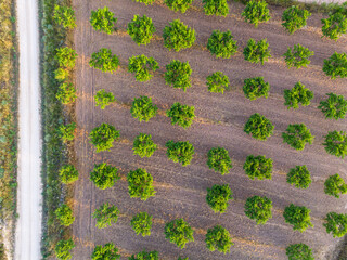 Drone aerial image of Terra Alta agriculture landscape in Catalonia Spain showing rural mediterranean patterns and structured farmland