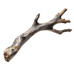 Front view of split driftwood branch isolated on a white transparent background