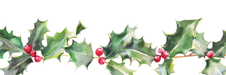 Fototapeta premium PNG Holly leaves backgrounds plant leaf.