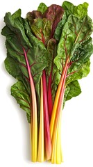 Fresh colorful organic rainbow chard bundle on white background