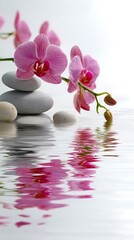 Stacked zen stones and pink orchids creating tranquil water reflections