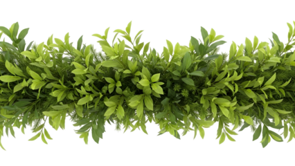 A lush green leaf garland border element on transparent background