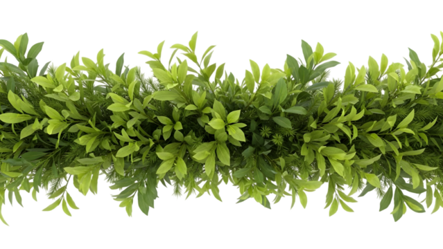 A lush green leaf garland border element on transparent background - Powered by Adobe