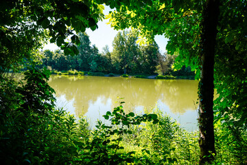 View of the Danube and the surrounding landscape near Lauingen. Nature along the river in the district of Dillingen an der Donau.
