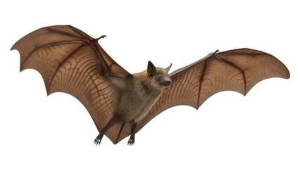 Brown bat flying isolated PNG on transparent background, nocturnal mammal with wings spread for Halloween and wildlife concepts