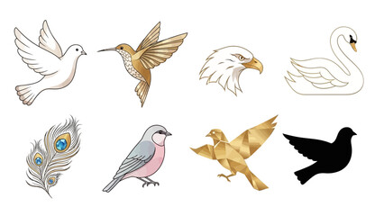 Avian Assortment: A diverse collection of birds, feathers and a beautiful swan, each exuding unique elegance, creating a captivating display.
