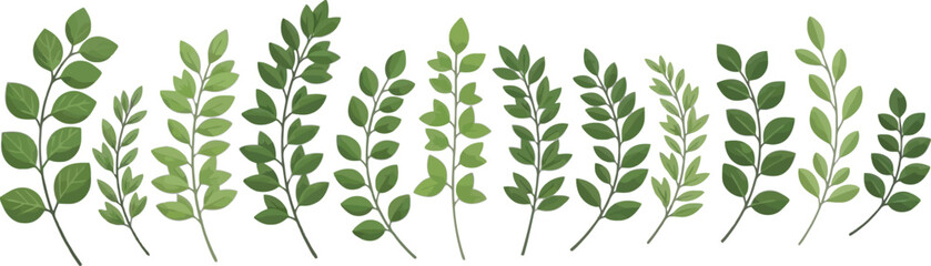 A collection of green leafy branches and stems on transparent background
