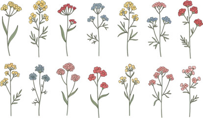 Vintage floral arrangements with varied blooms ideal for design projects on transparent background