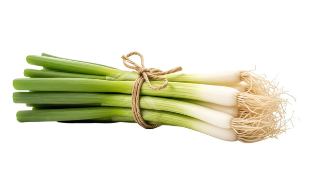 Fresh green onions tied with twine isolated PNG, vibrant scallions with roots on transparent background for culinary and healthy eating concepts