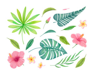 Watercolor isolated collection of exotic pink hibiscus, plumeria flowers and tropical green leaves. Exotic floral set for botanical themes, eco-friendly projects, skincare packaging, wellness design.