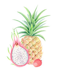 Tropical botanical illustration of pineapple, lychee and half dragon fruit isolated on white. Colored pencil and watercolor summer exotic fruit composition for packaging, textile prints, eco design.