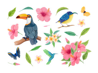 Watercolor isolated tropical illustration set with toucan, hummingbird, sunbird, hibiscus, plumeria flowers, butterflies and leaves. Exotic floral and bird collection for stickers, packaging, prints.