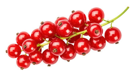 Vibrant red currant berries on a stem isolated PNG, delicious and juicy fruit on transparent background for healthy eating concepts