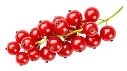 Vibrant red currant berries on a stem isolated PNG, delicious and juicy fruit on transparent background for healthy eating concepts