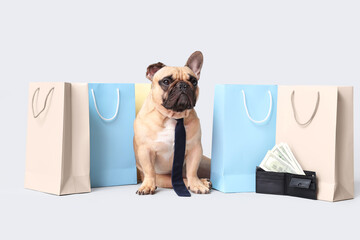 Cute French bulldog with shopping bags and wallet with money on white background