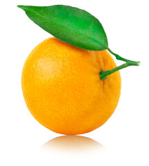 Single tangerine fruit with leaf. Fresh mandarin fruit with green leaf on white background. Clementine citrus fruit.
