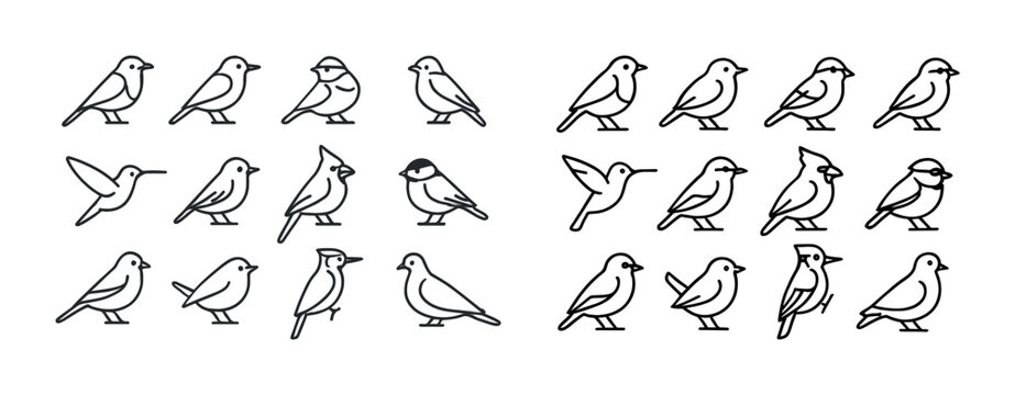 Collection of simple bird line drawings in various poses