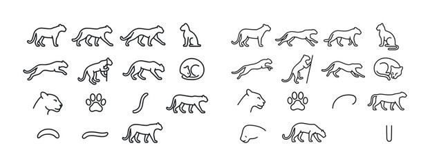 Set of minimalist cat and panther line art illustrations in vari