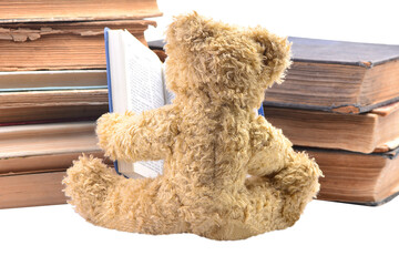 Teddy bear with book isolated