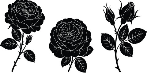 Black rose flower silhouette vector set, detailed botanical drawing of blossom, bud, and stem, elegant floral design
