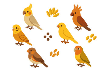 Assortment of cute domestic pet birds: cockatiel, canary, finch, and lovebird