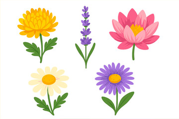 Colorful spring and summer flowers set including chrysanthemum, lavender, and lotus
